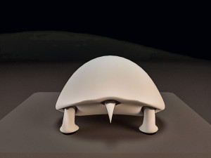 free 3d turtle model Model 3D