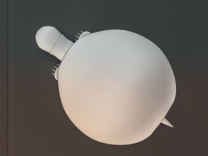 free 3d turtle model Model 3D