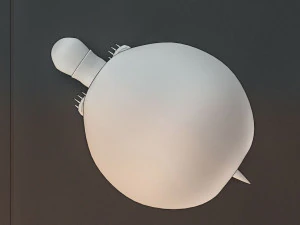 free 3d turtle model 3D Model