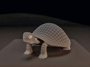 free 3d turtle model Model 3D