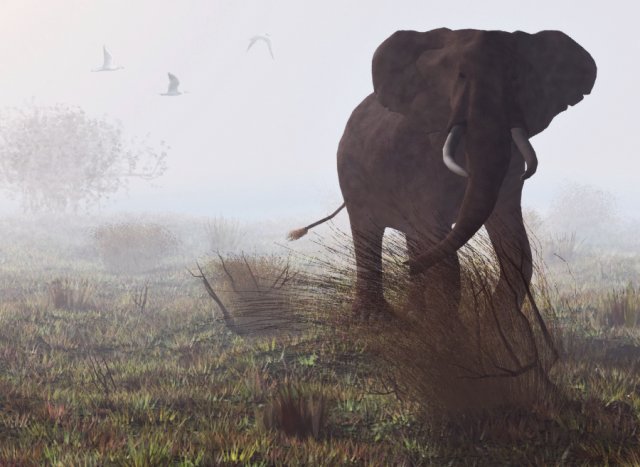 elephant mom and child vr - ar - low-poly Modèle 3D .c4d .max .obj .3ds .fbx .stl .blend 