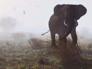 słoń mama i dziecko vr - ar - low-poly Model 3D