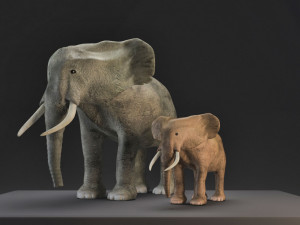 elephant mom and child vr - ar - low-poly Modèle 3D