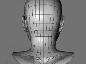 cate 3D 模型