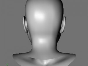 cate 3D 模型