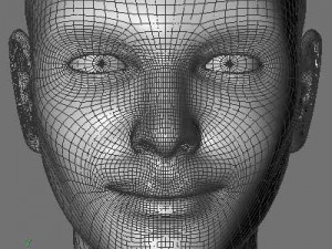 cate 3D 模型