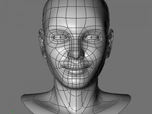 cate 3D 模型