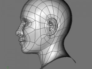 cate 3D 模型