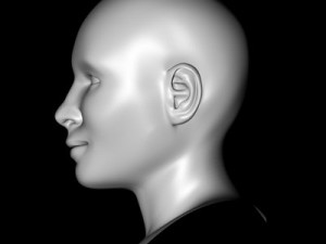 cate 3D 模型