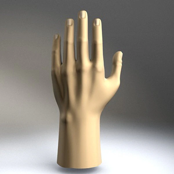 hand 3D Model .c4d .max .obj .3ds .fbx .stl .blend 