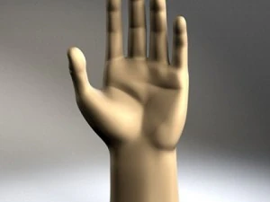 hand 3D Model