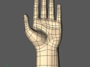 hand 3D Model