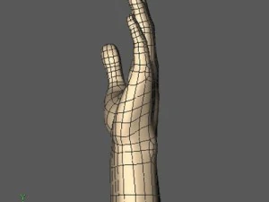 hand 3D Model