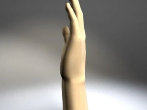 hand 3D Model