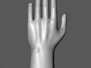 hand 3D Model