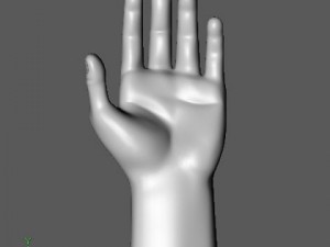 hand Modelo 3D