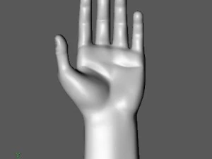 hand 3D Model