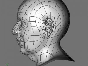 edward 3Dモデル