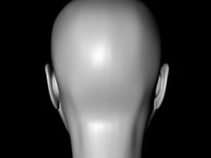 female head 3D Model
