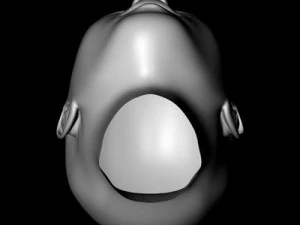 female head 3D Model