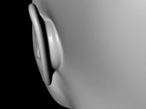 female head 3D Model