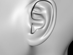 female head 3Dモデル