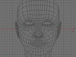 female head 3Dモデル