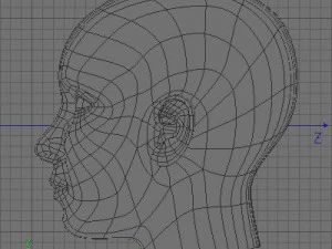 female head 3D Model