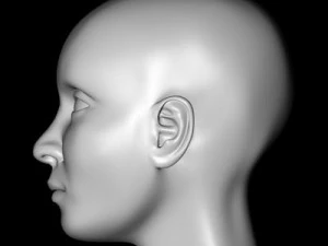 female head 3D Model