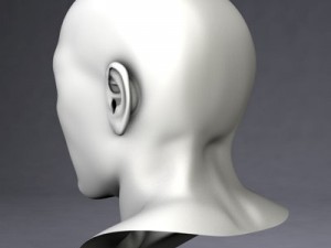samuel free Modèle 3D