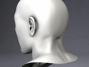 samuel free 3D Model