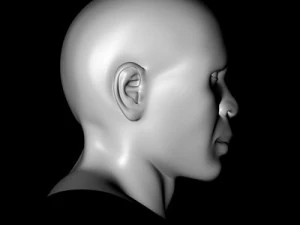 samuel free 3D Model