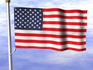 american flag 3D Model