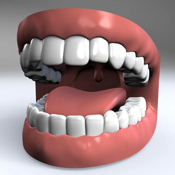 mouth 3D Model .c4d .max .obj .3ds .fbx .stl .blend 