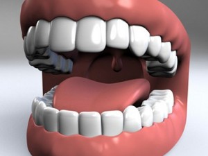 mouth 3D Модель
