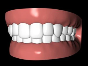 mouth 3D Model