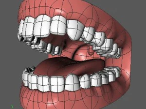 mouth 3D Model