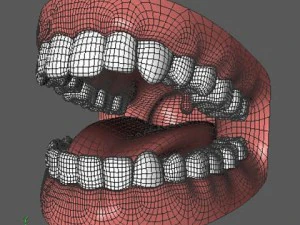 mouth 3D Model