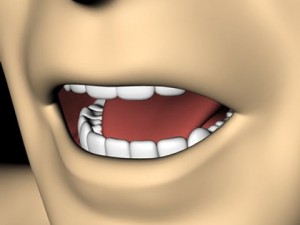 mouth 3D मॉडल