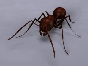 ant 3D Model