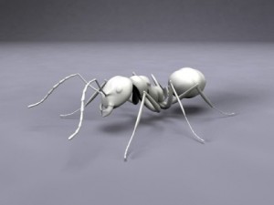 ant 3D Model