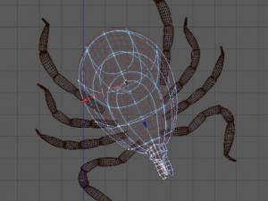 deer tick Modelo 3D