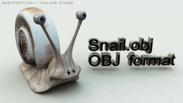snail 3D Model .c4d .max .obj .3ds .fbx .stl .blend 