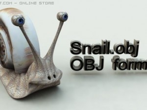 snail 3D Model