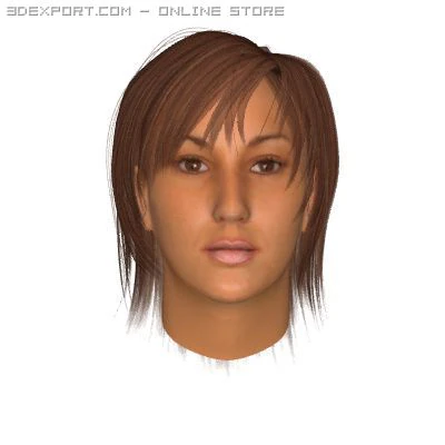 female face 3D Model .c4d .max .obj .3ds .fbx .stl .blend