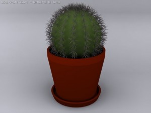cactus 3D Model