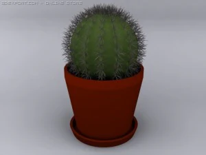 kaktus Model 3D