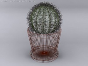 cactus Modelo 3D