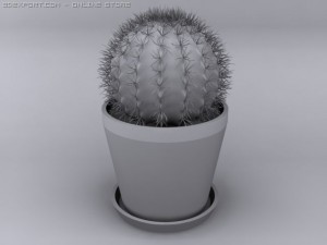cactus Modelo 3D