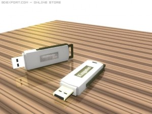 kingston 2gb flash drive Modèle 3D